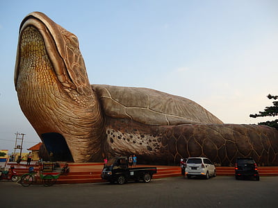kura kura, the giant turtle, kartini's beach