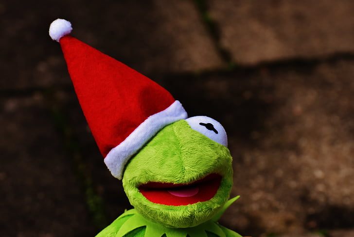 Kermit, Frosch, Weihnachten, Weihnachtsmütze, niedlich, lustig, Weihnachtszeit