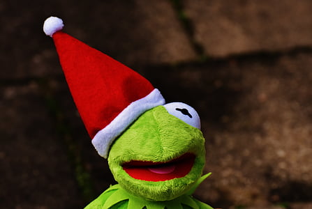克米特, 青蛙, 圣诞节, 圣诞老人的帽子, 可爱, 有趣, 圣诞节的时候