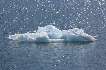ledová kra, Já?, Arktida, ledovec, modrá, Příroda, voda