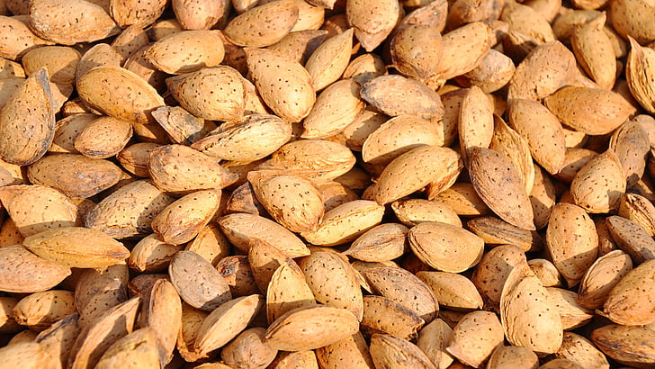seeds, almond, food