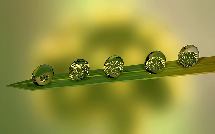 drip, leaf, green, drop of water, leaves, dew, wet