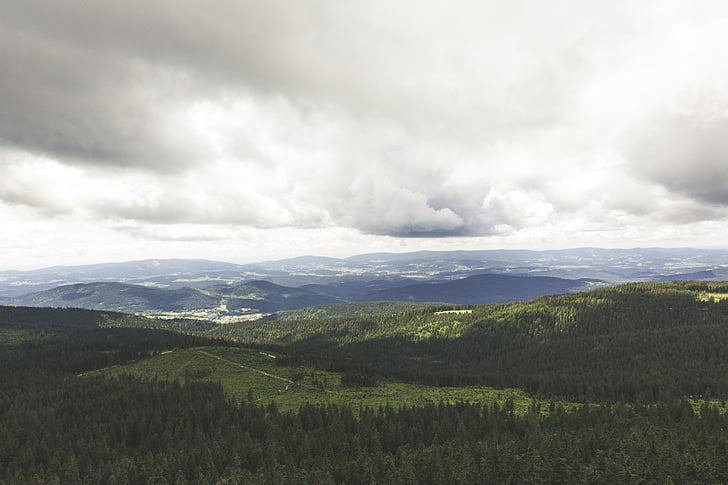 Beierse Woud, weergave, verre uitzicht, bos, gezichtspunt, Vrije tijd, bestemming