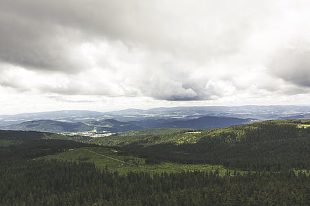 foresta bavarese, vista, vista in lontananza, foresta, punto di vista, per il tempo libero, destinazione