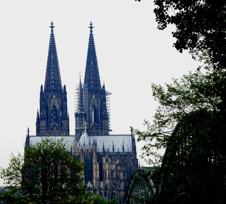 Dom, kristne, religion, tårn, trær, Köln, kirke steeples