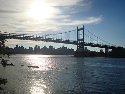 suspension bridge, bridge, river, water, city, skyline