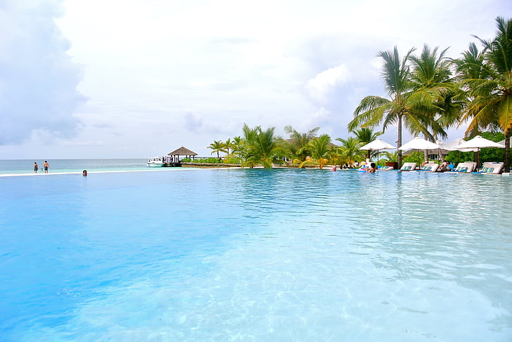 Maldiverna, kokosnöt träd, havet, Resort, sommar, Holiday, Sky