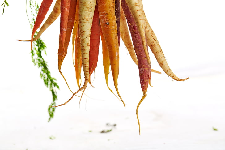 моркови, висящи, зеленчуци, храна, висящи, здрави, пресни
