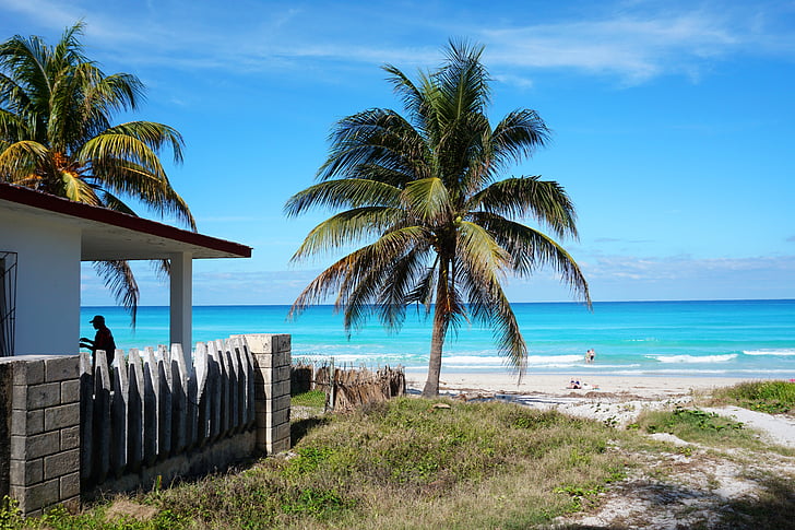 Cuba, Varadero, Beach, Caraibien, palmer, havet, sand