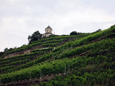 Kaplnka, Kobern, Gondorf, Matthias chapel, vinice
