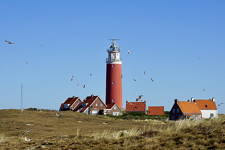 lighthouse, texel, holiday, beach, north sea, sea, netherlands