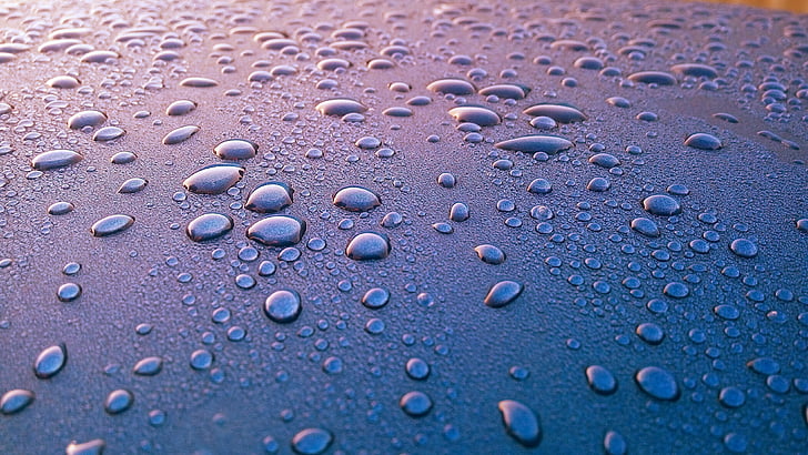 bubble, clean, clear, close-up, dew, droplets, drops of water