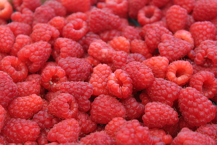 raspberries, fruit, food, healthy, red, sweet, fresh