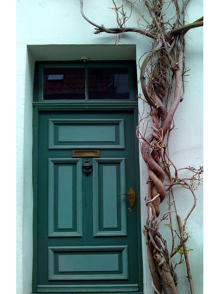 dörr, träd, hem, ytterdörren, Lübeck, Tyskland