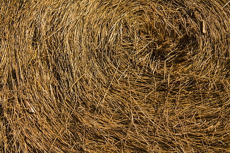 hay, bale, agriculture, farm, straw, harvest, nature