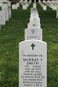 kirkegård, Arlington, nationale, Washington, Memorial, gravsten, kirkegård
