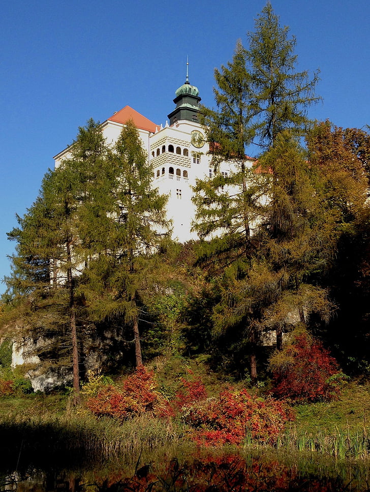 Pieskowa skała castle, Polen, slott, museet, arkitektur, byggnad, träd