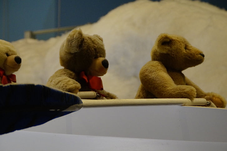 Teddy, teddies, beruang, boot, dayung, dekorasi, boneka beruang