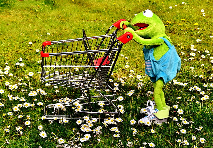 Kermit, rana, lo shopping, carrello della spesa, divertimento, giocattolo morbido, animale di peluche