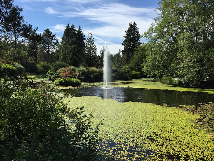 Vancouver, Canadá, columbia británica, Parque, fuente, estanque, jardín