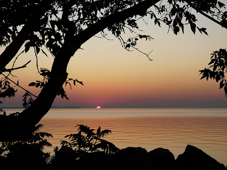 sunrise, sun, water, lake, tree, landscape, nature