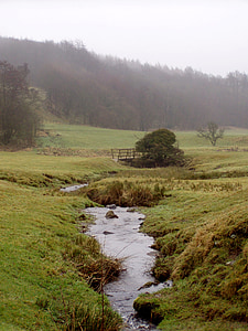 paysage, l’Angleterre, Meadow, nature, Royaume-Uni, Anglais, vert