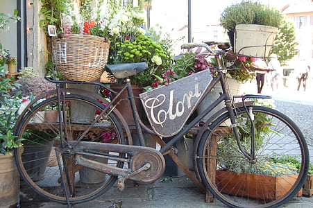 black, step, bike, bicycle, flower, plants, nature