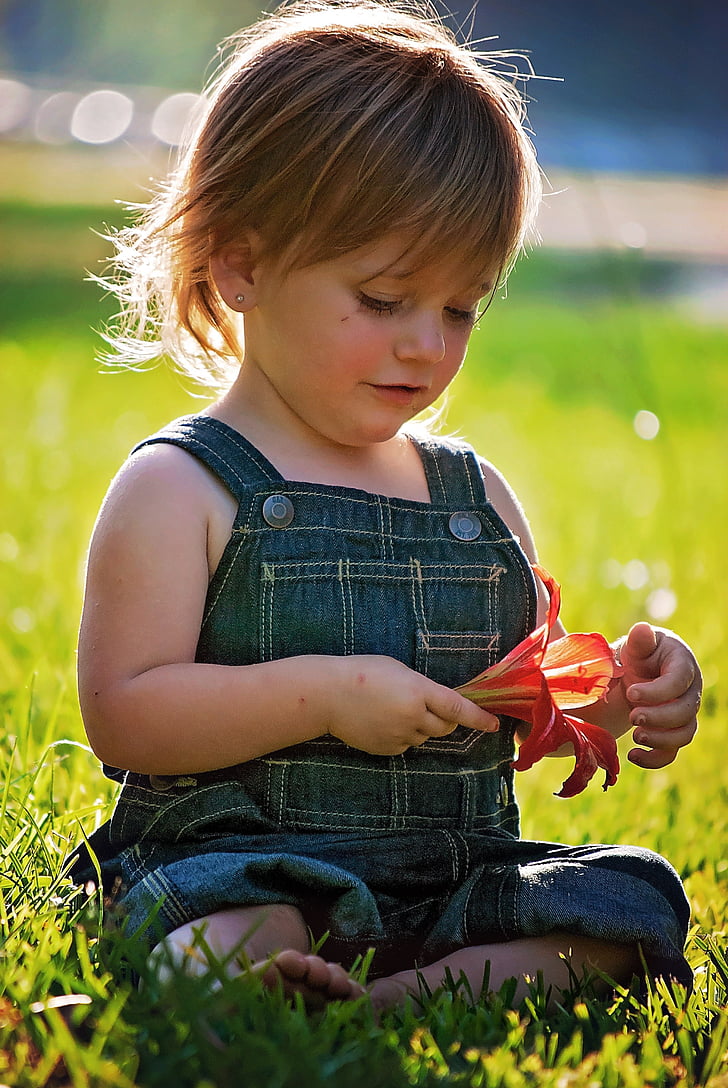 baby, sitting, green, grass, field, holding, red