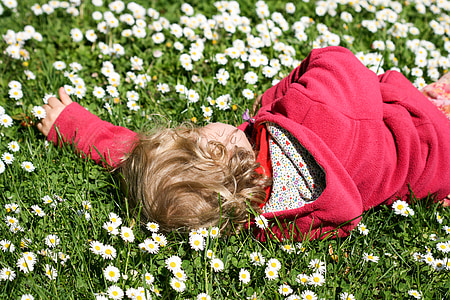 daisies, meadow, blütenmeer, spring, sleep, concerns, relax