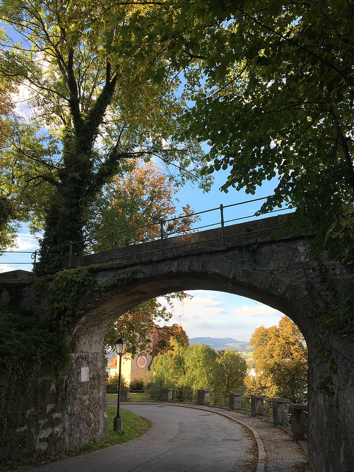 Salzburg, jesień, Mönchsberg, Most, drzewo, Natura