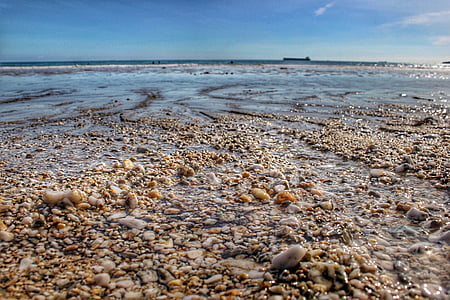 beach, coast, nature, ocean, pebbles, shore, summer