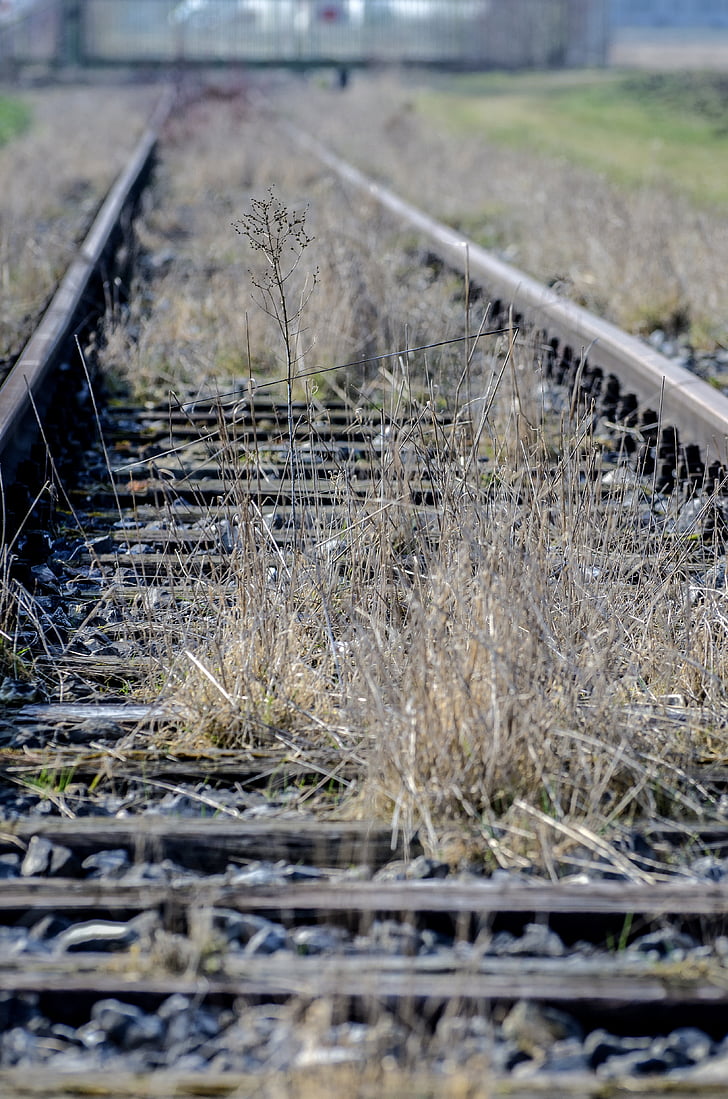gleise, treinrails, track bed, treinverkeer, leek, trein rails, bijhouden van rails
