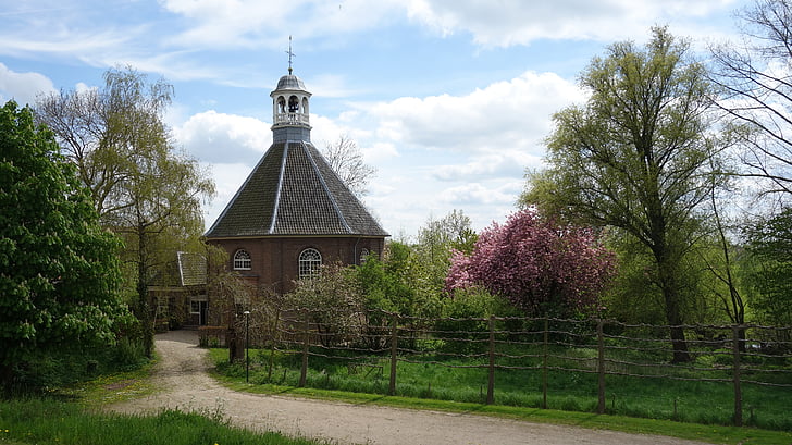 campo, Países Bajos, Betuwe, paisaje, verde, primavera, árboles