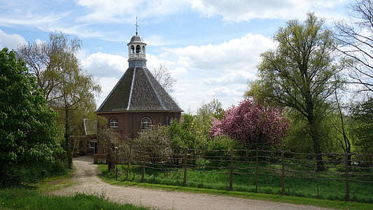 wsi, Holandia, Betuwe, krajobraz, zielony, wiosna, drzewa