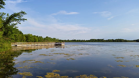 søen, Pier, natur, træ, træ, Minnesota, USA