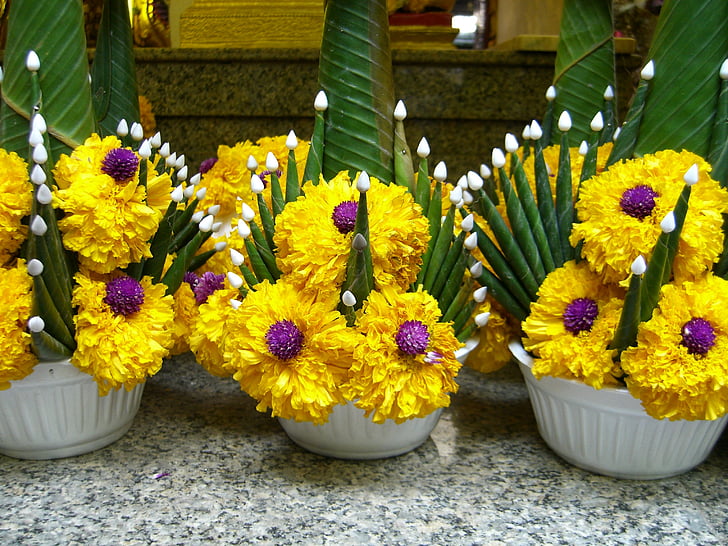buddhisme, blomster arrangement, offer, Thailand, blomst, natur, bukett
