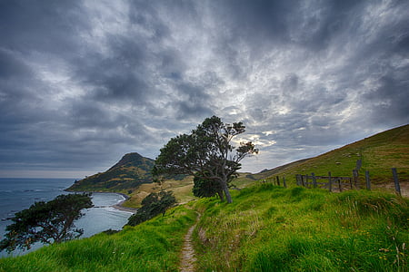 Nova Zelandija, pot, sled, andel Çorum, ovce, pohodništvo, oblak - nebo
