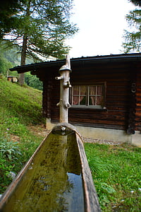 Швейцария, Алпи, Хижа, фонтан, дървени къщи