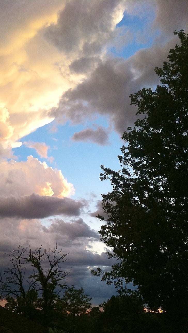 skyer, treet, himmelen, natur, Cloud - sky, Cloudscape, solnedgang