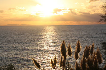 Ήλιος, ηλιοβασίλεμα, ξεσκονόπανο φτερών, στη θάλασσα, Γαλλία, φως