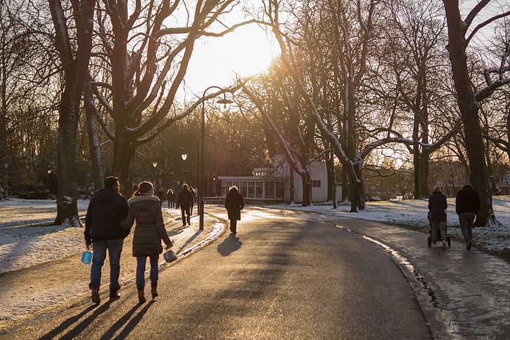 Parque, pessoas, caminhando, árvores, Inverno, frio, sol