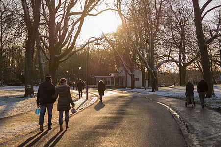 công viên, mọi người, đi bộ, cây, mùa đông, lạnh, mặt trời