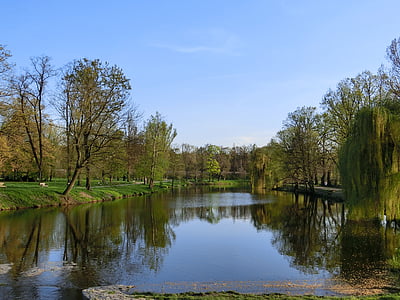 landscape, water, sky, trees, pond, lake