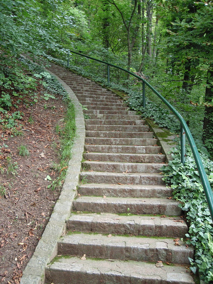 lépcsők, Graz, Schlossberg, túrázás, séta, zöld, levelek