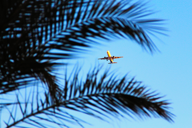 lietadlo, Egypt, Palma, Sky, letné, cestovný ruch, Beach