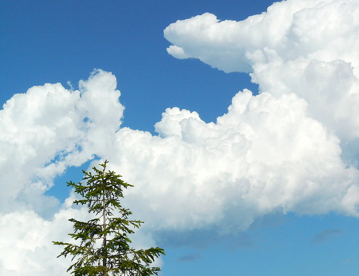 cloud, sky, blue, clouds form, nature, summer, outdoors