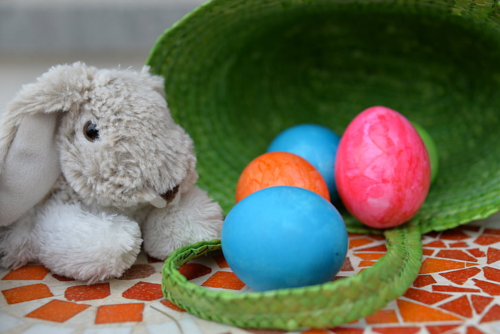 húsvéti nyuszi, Húsvét, tojás, színes, húsvéti tojás, szín, festék