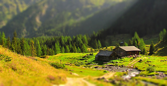 Cottage, idylle, Alpes, refuge de montagne, tilt shift, nature, montagne