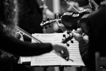 Concert, violins, Concert en re major per a oboè, Carlo romano, música, musical instrument, músic