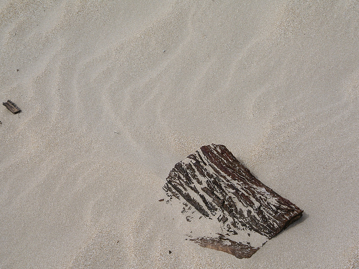 Drift wood, piasek wzór, Plaża, fale piasku, wiatr wzór, tekstury